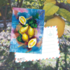 “Cure” A6 Postcard